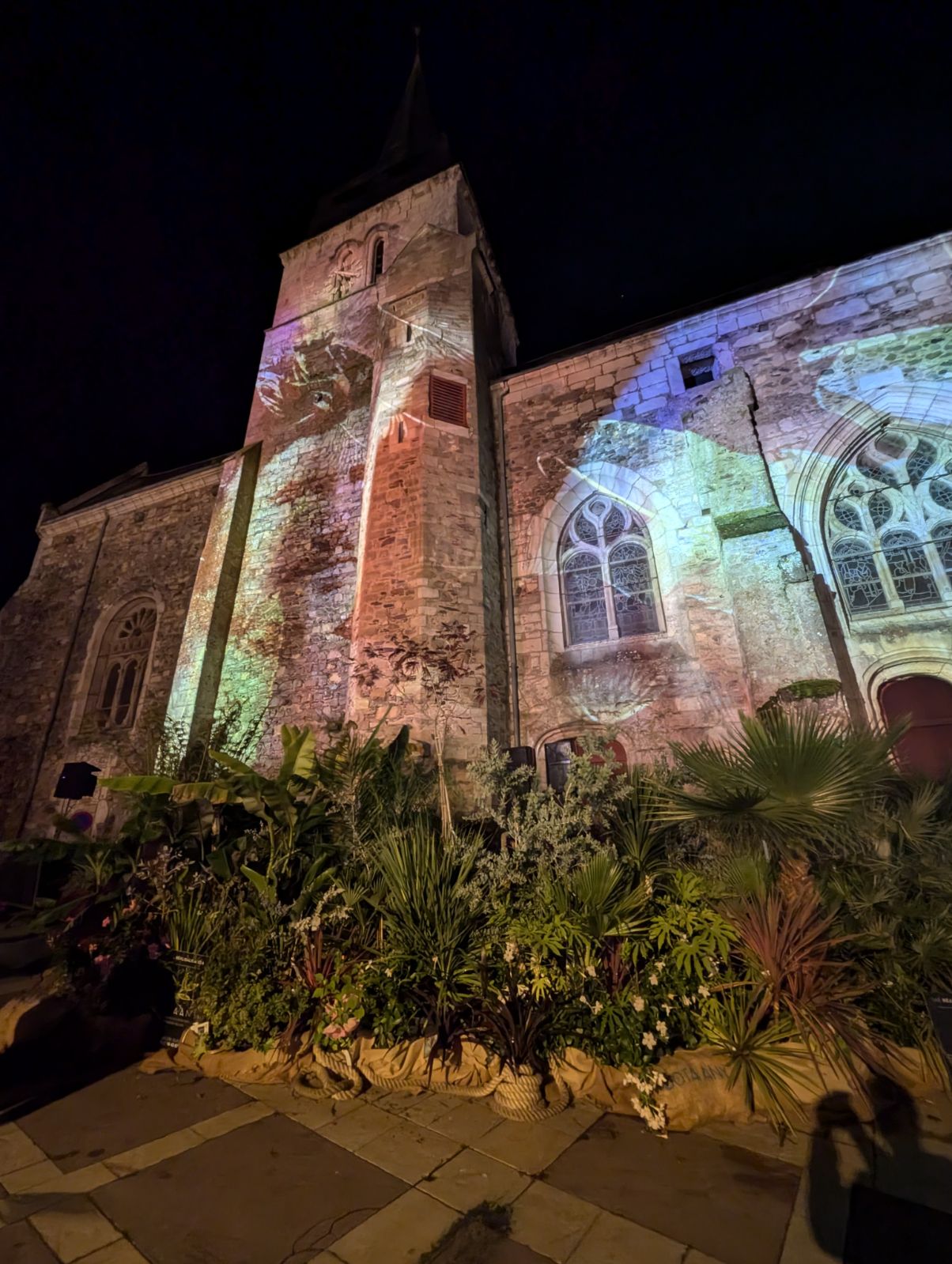 Réalisation pépinière BOTAANY devant la mapping église Saint Gilles Croix de Vie pendant la Nuit des Jardins (Vendée)