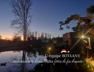 L'équipe Botaany vous souhaite de belles fêtes