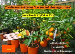Conférence atelier le sercret des agrumes La Fetes des jardins par BOTAANY