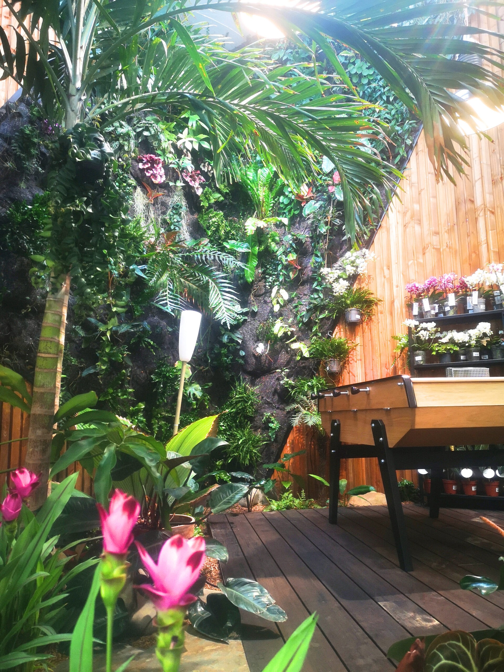 Patio avec mur végétal à Botaany la pépinière L'Aiguillon sur vie Vendée