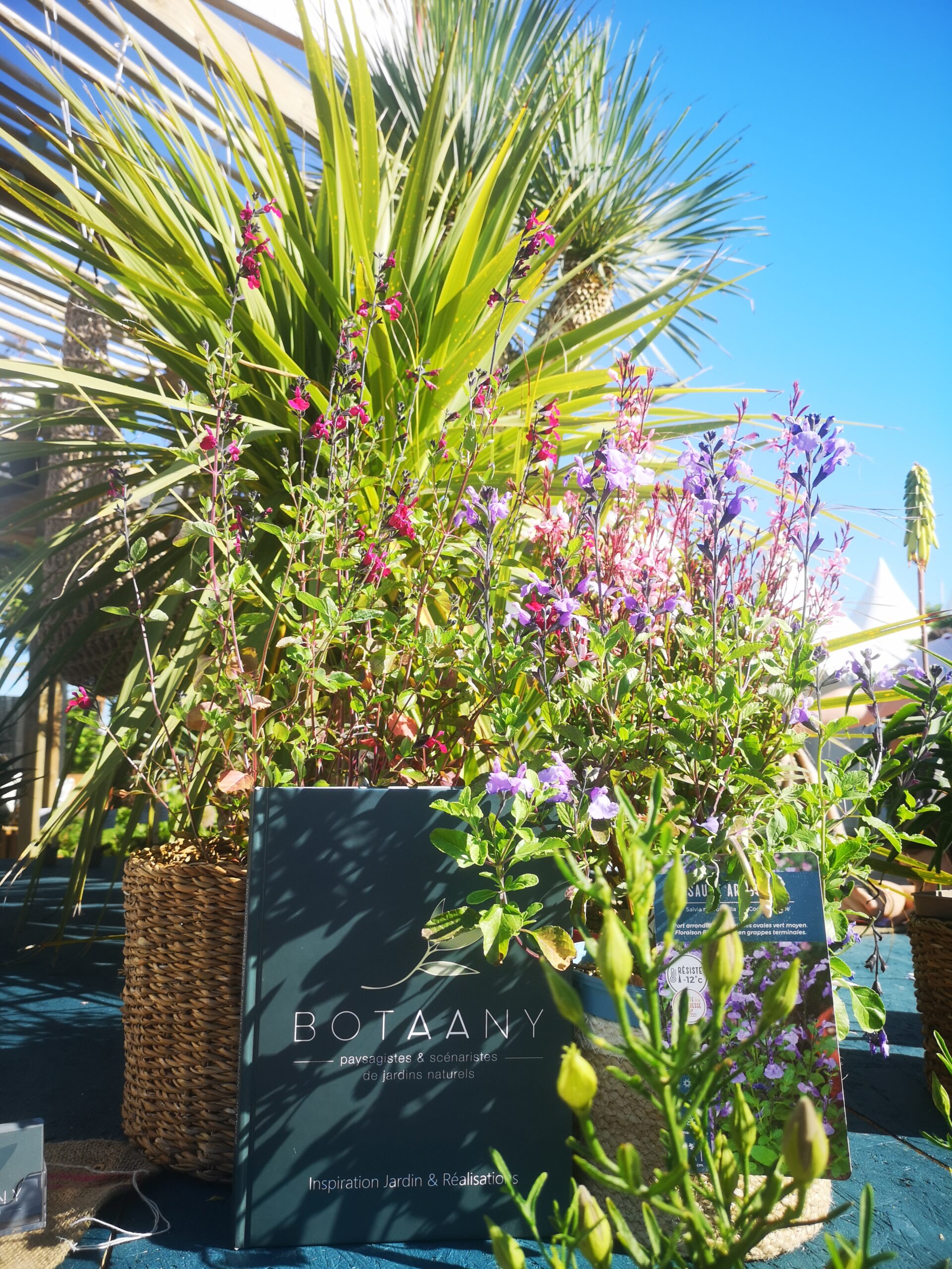 Stand BOTAANY Foire St Gilles 2025 Plantes