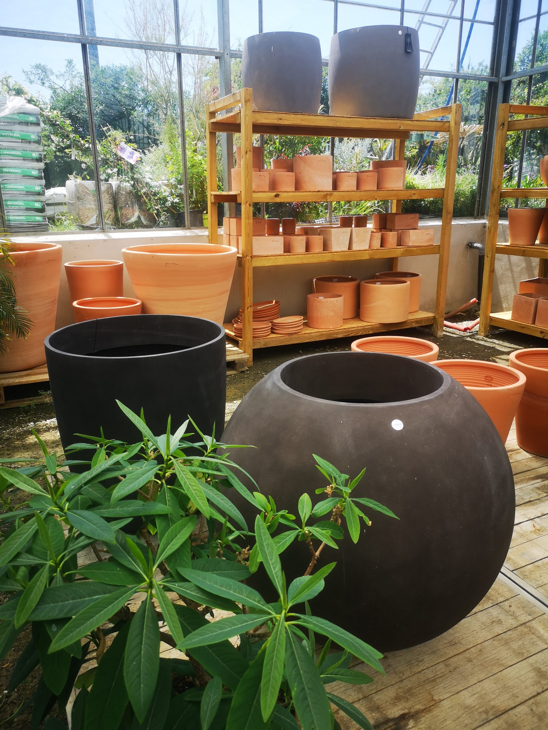 Pots XXL en vente à BOTAANY la pépinière à L'Aiguillon sur vie (85)