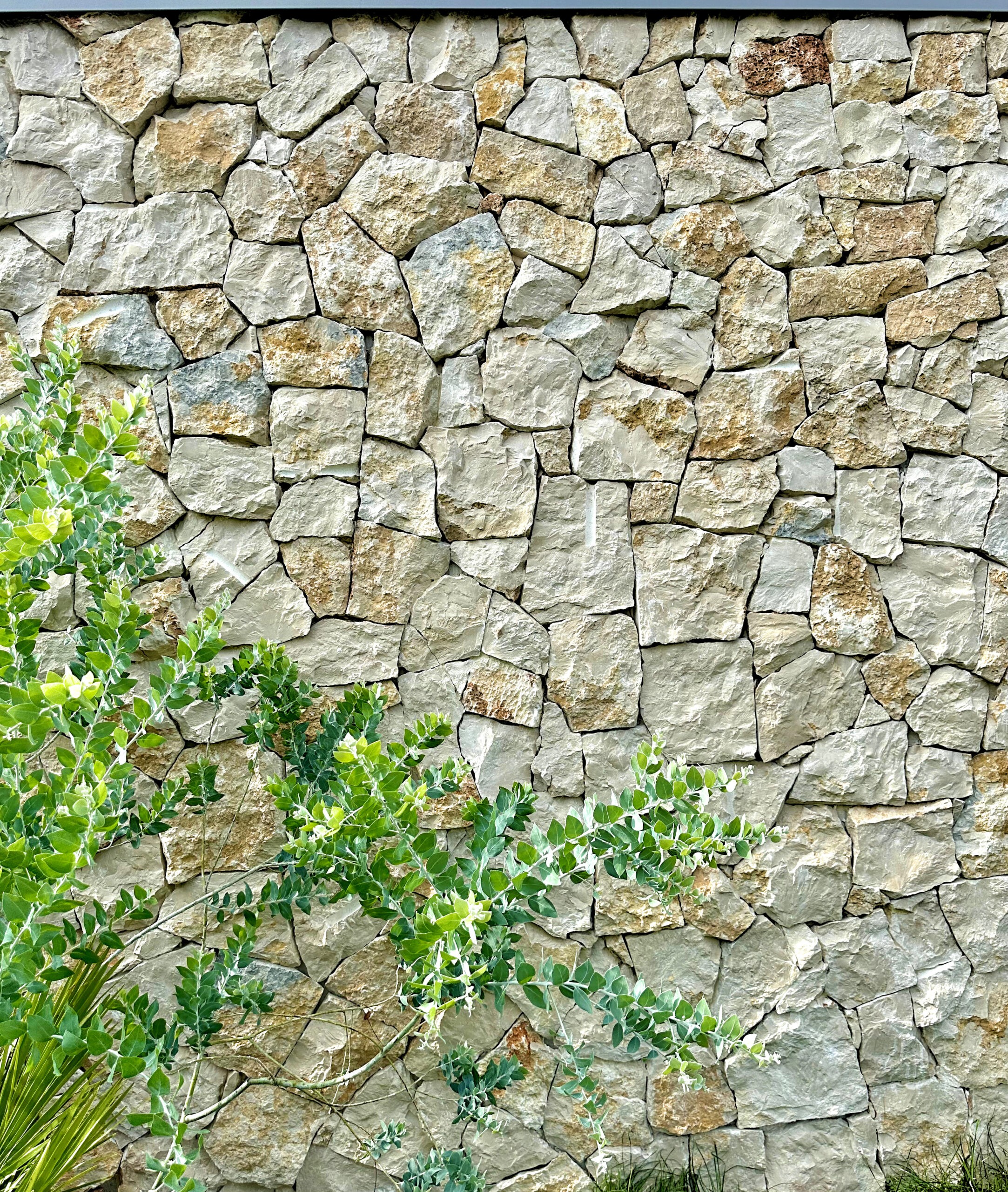 Jardin Eden tropical à Challans avec parement naturel mur en pierre de taille, plage de piscine en bois, massifs style tropical