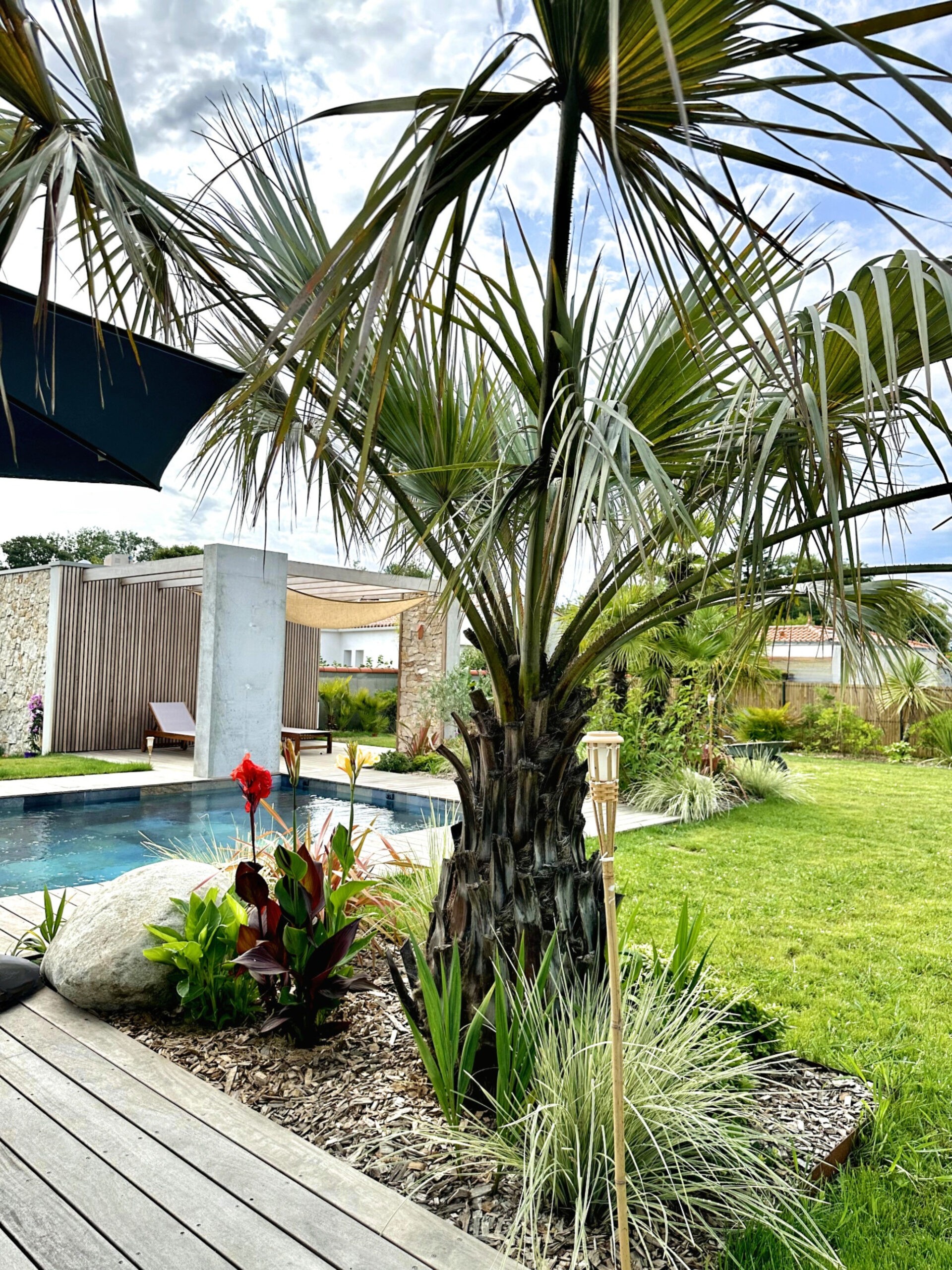 Jardin Eden tropical à Challans avec mur en pierre de taille, plage de piscine en bois, massifs, palmiers style tropical avec roches des seychelles