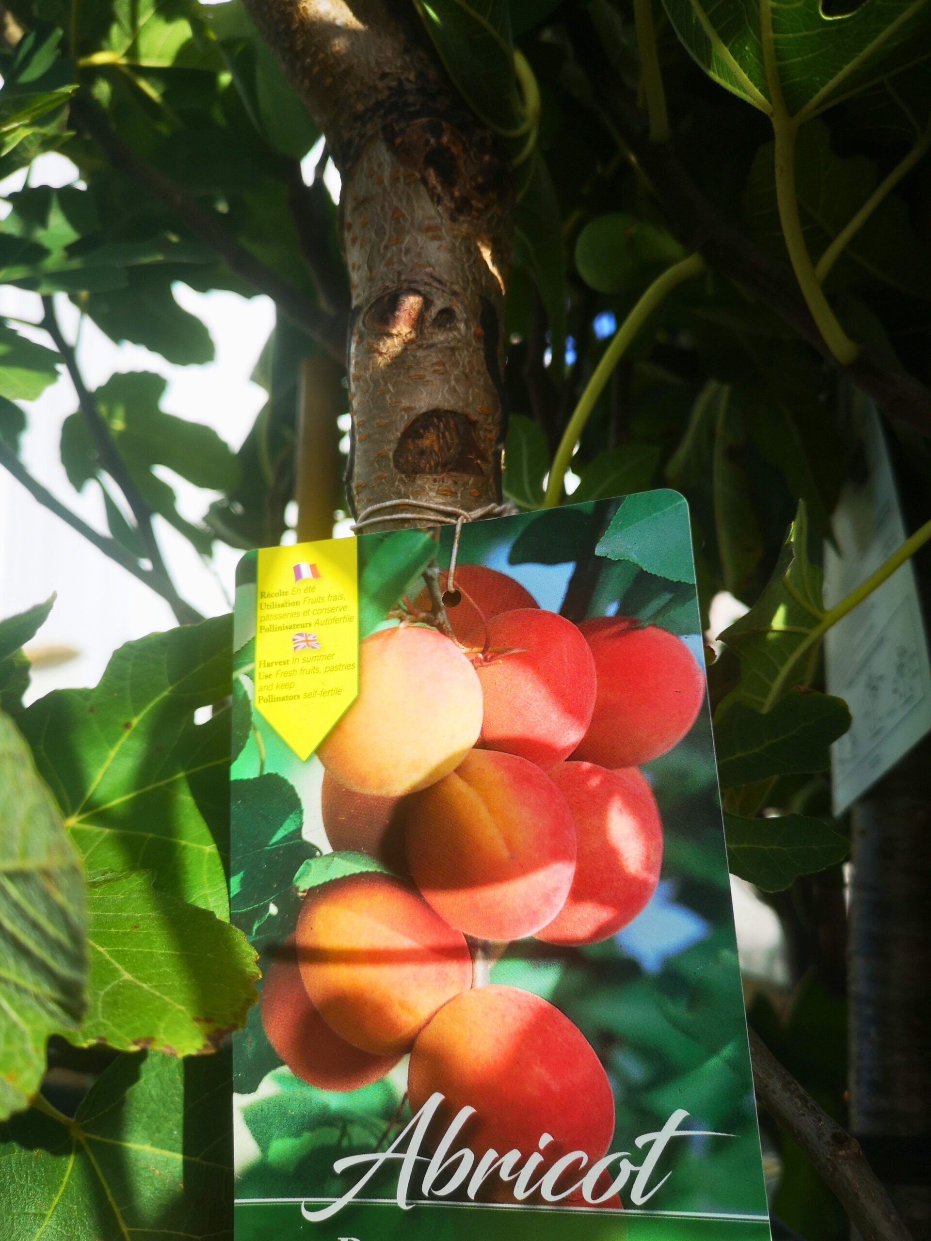 01ce67b4-794e-455b-b52d-b715546227e7