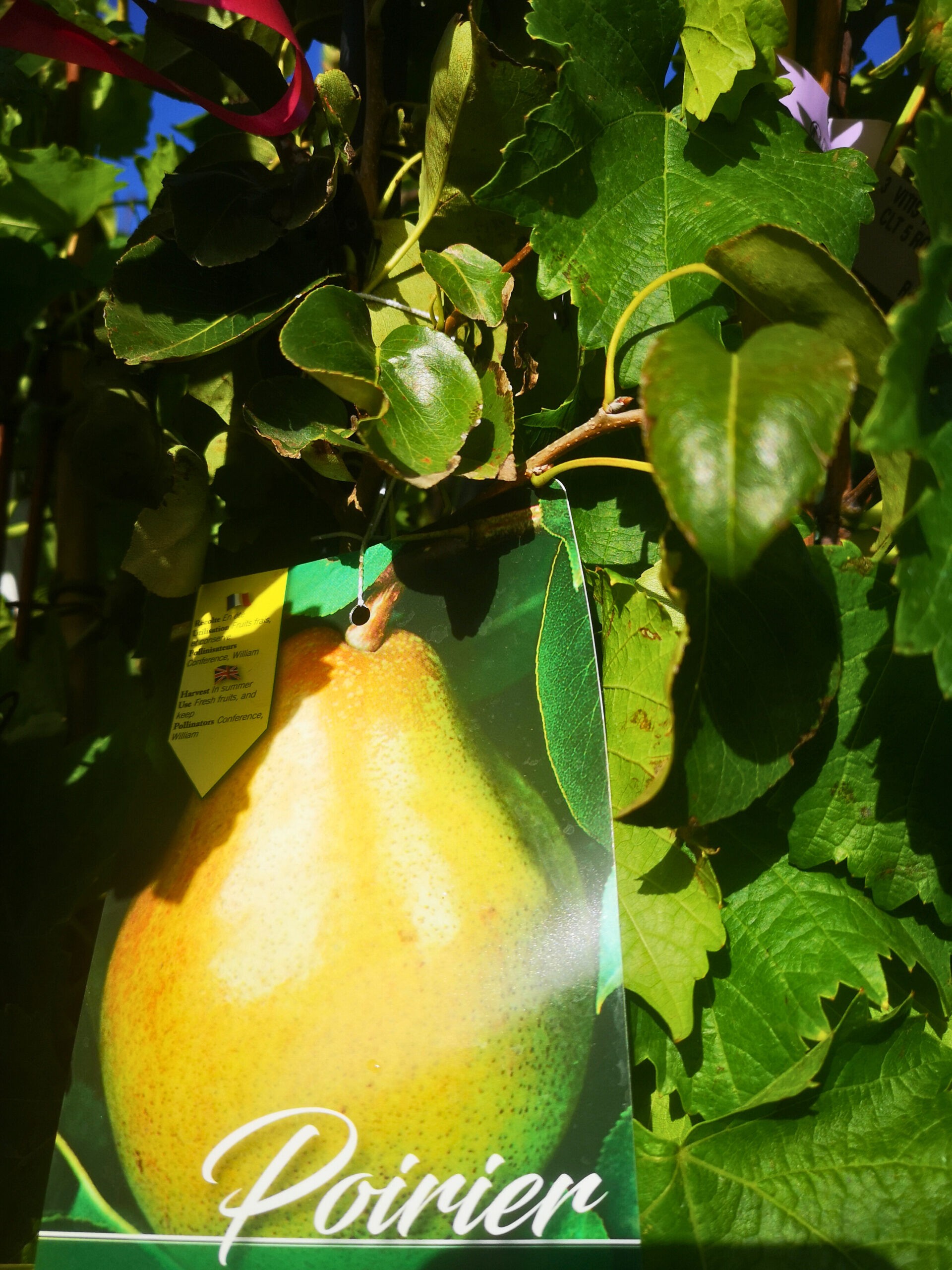 386d9857-1951-479a-a13b-2679e9017958