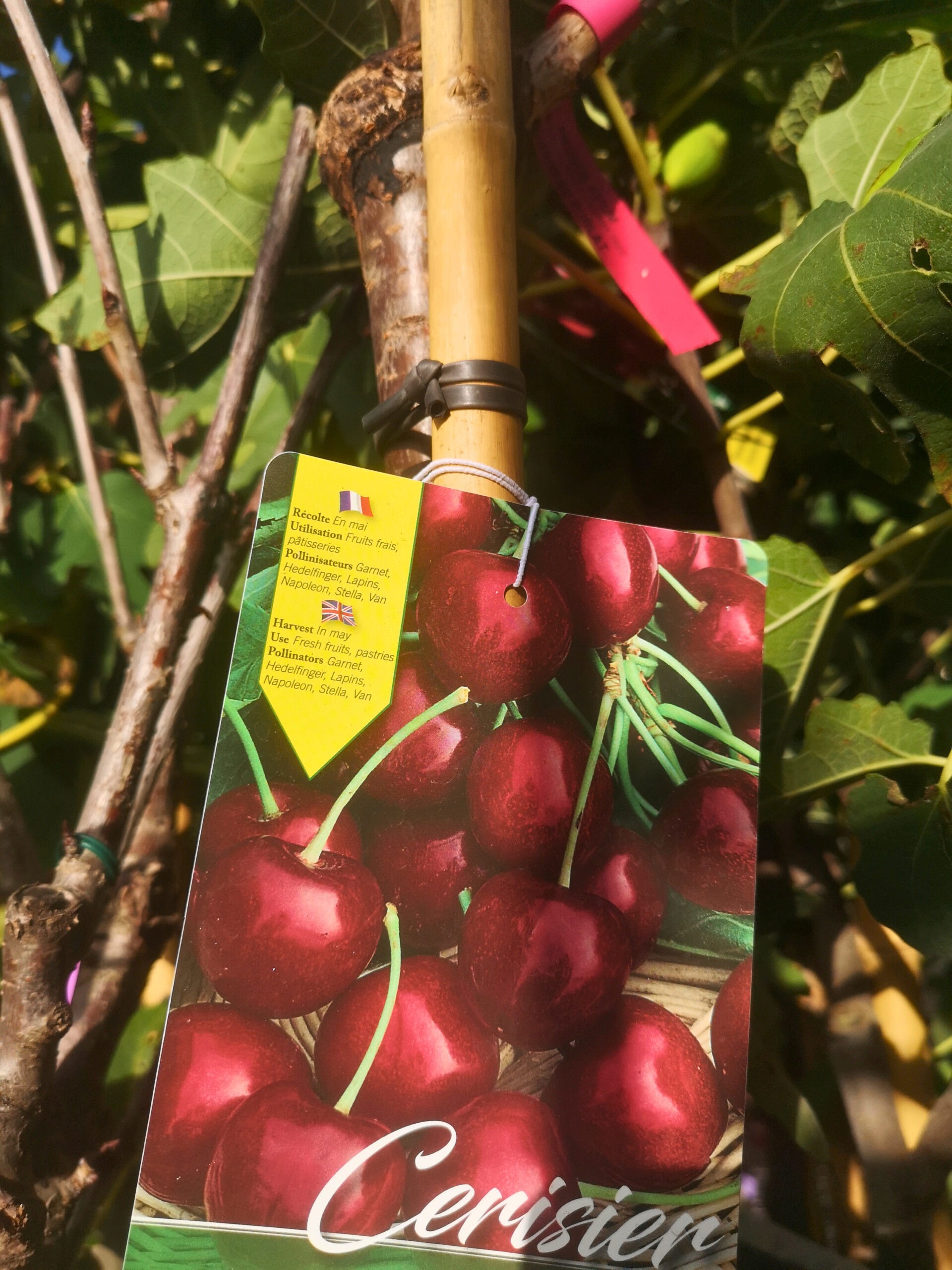 6b6b9cb1-a476-4674-a271-451a2bfaeecb