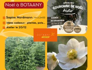 Sapins de Noël BOTAANY