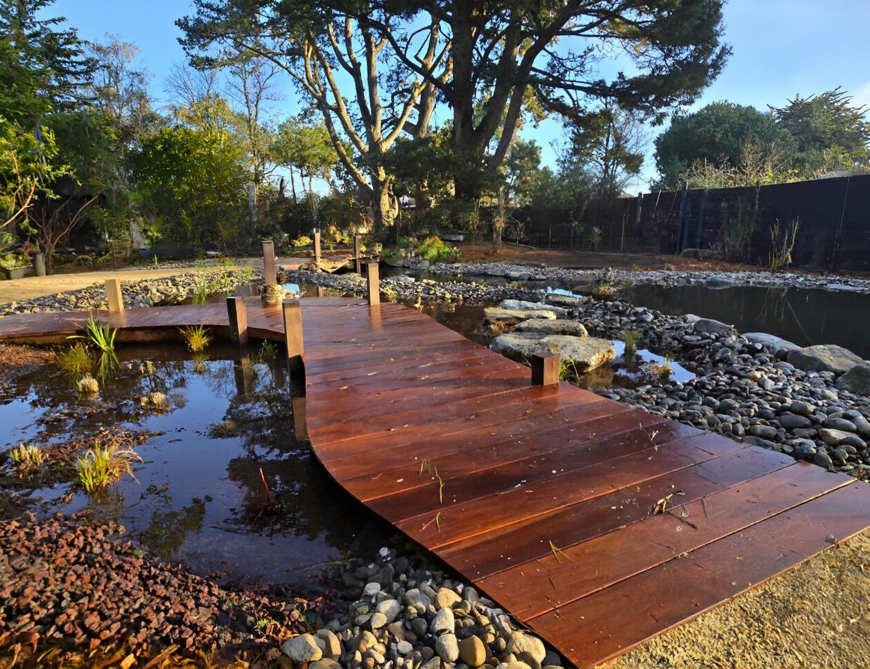 Création d'un bassin en Vendée