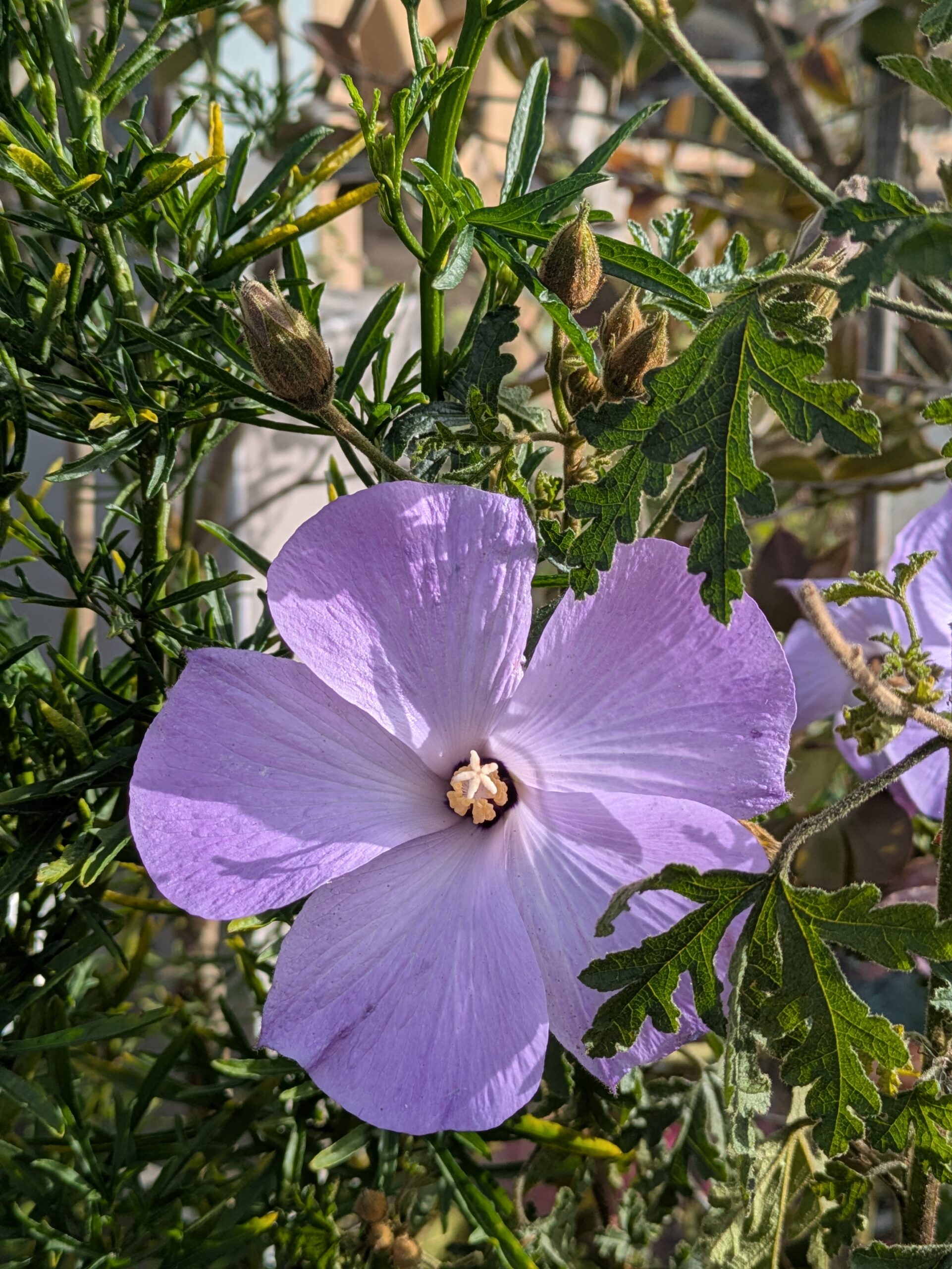 PXL_20260212_095442383