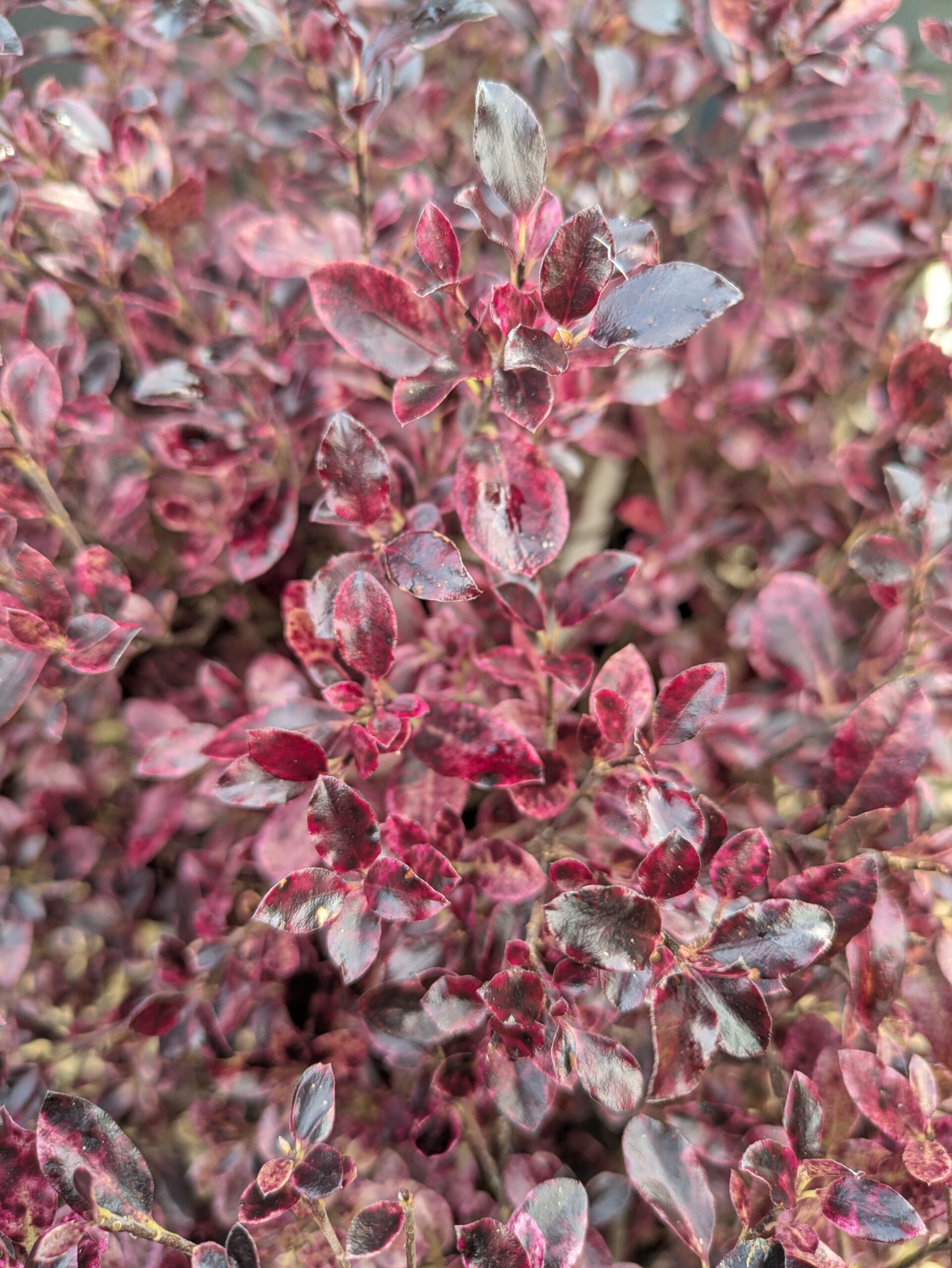 PXL_20260212_130317905