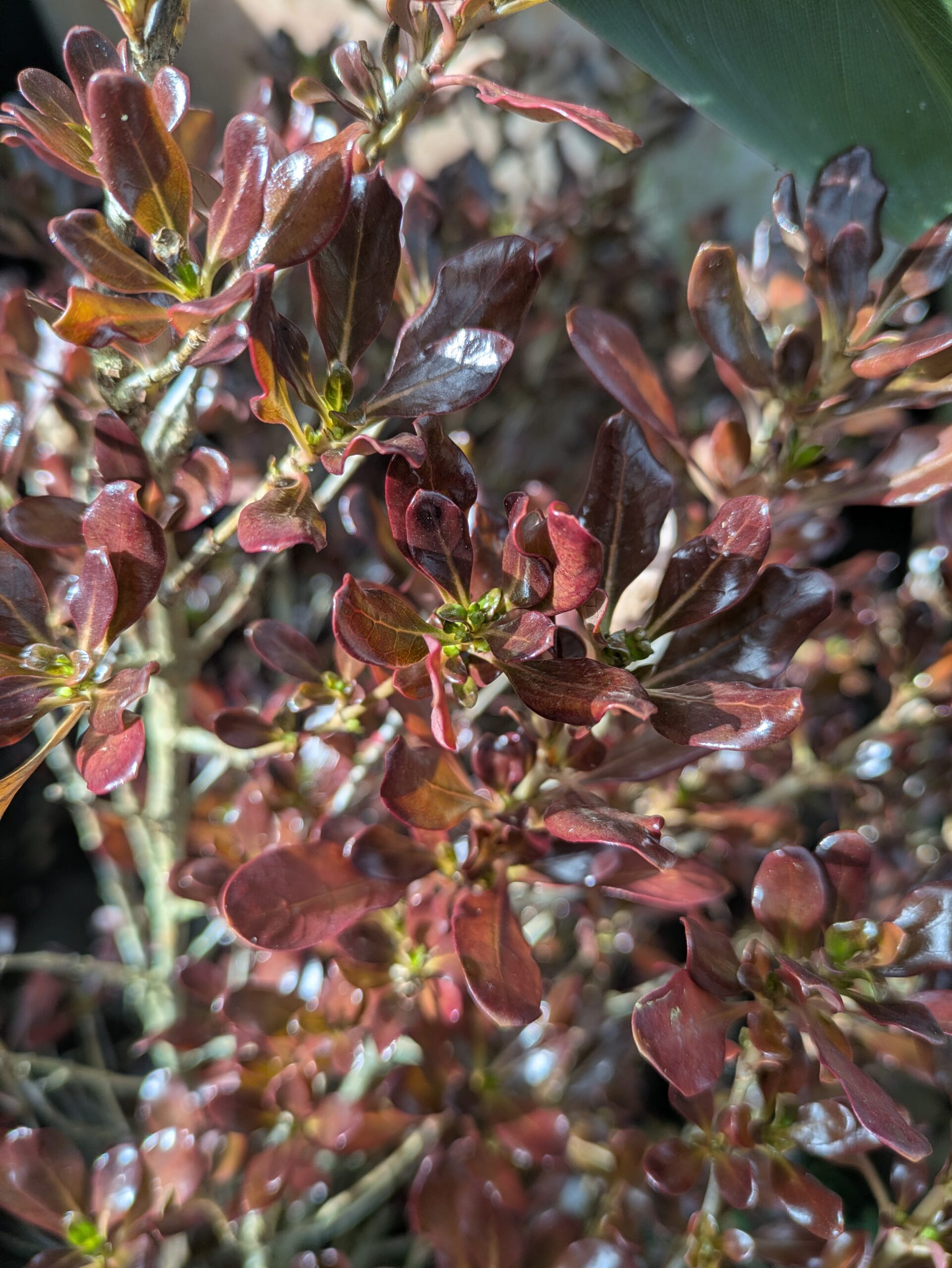 PXL_20260212_130506290