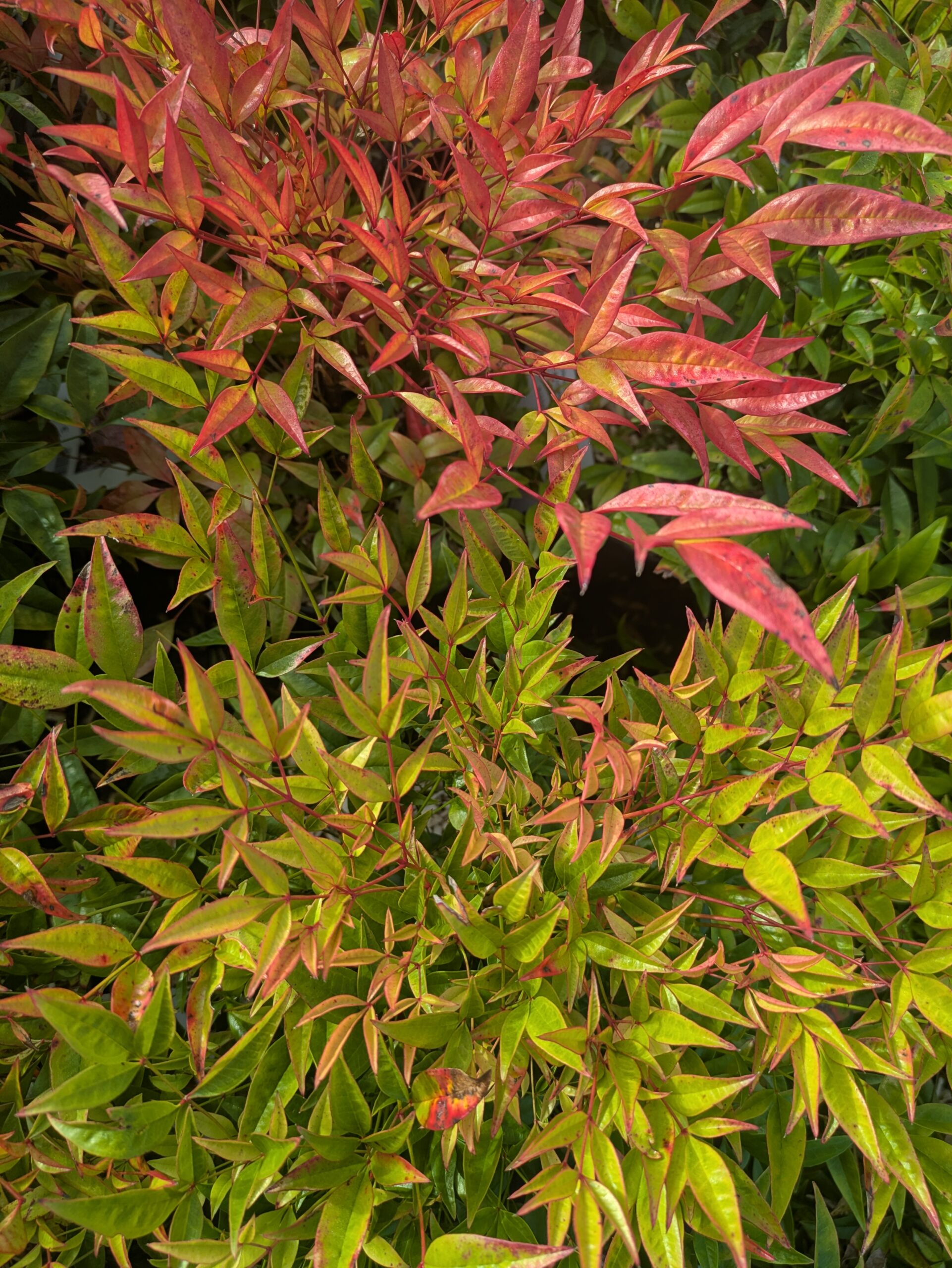 PXL_20260217_085957294