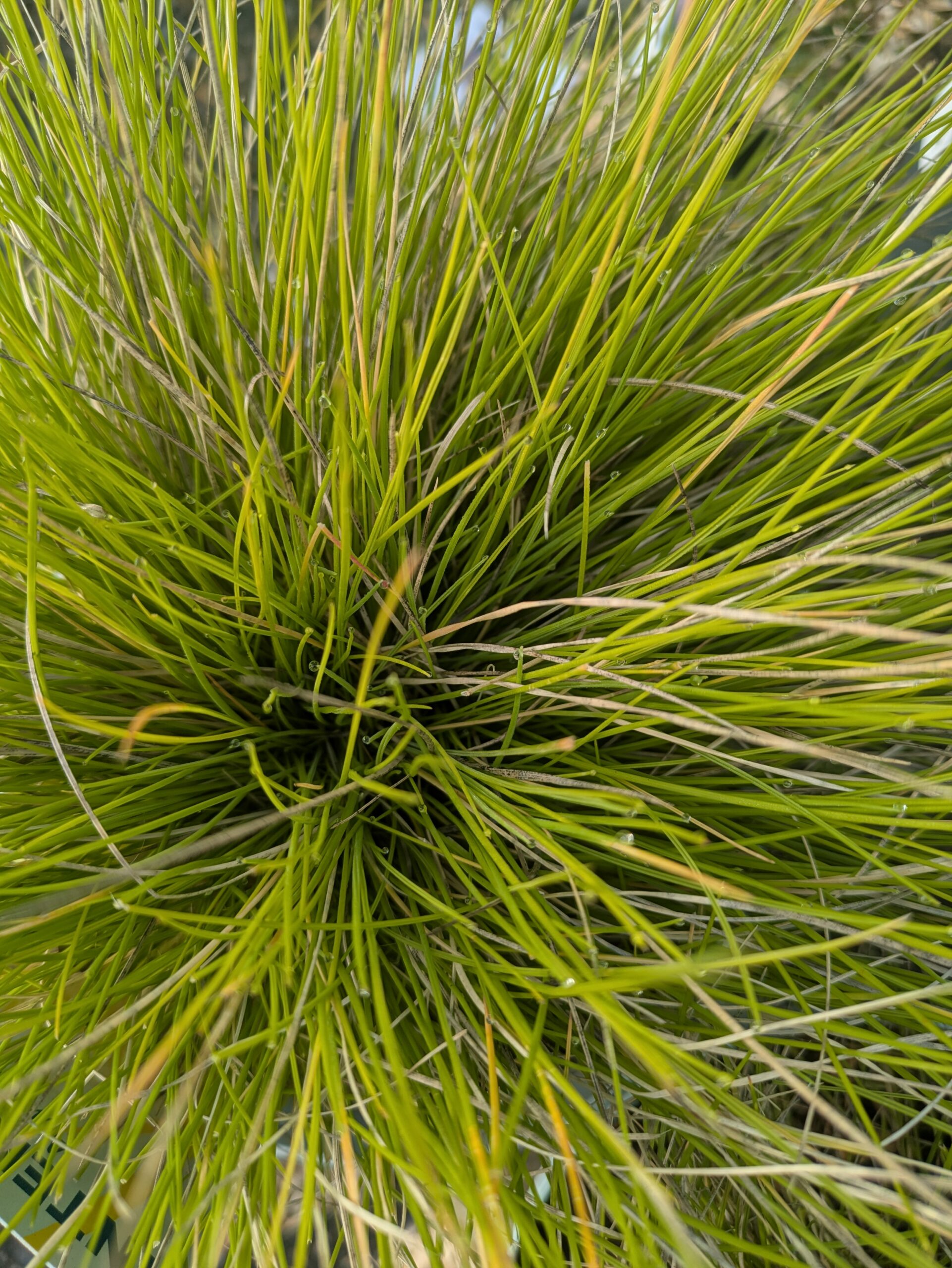 PXL_20260217_090002996