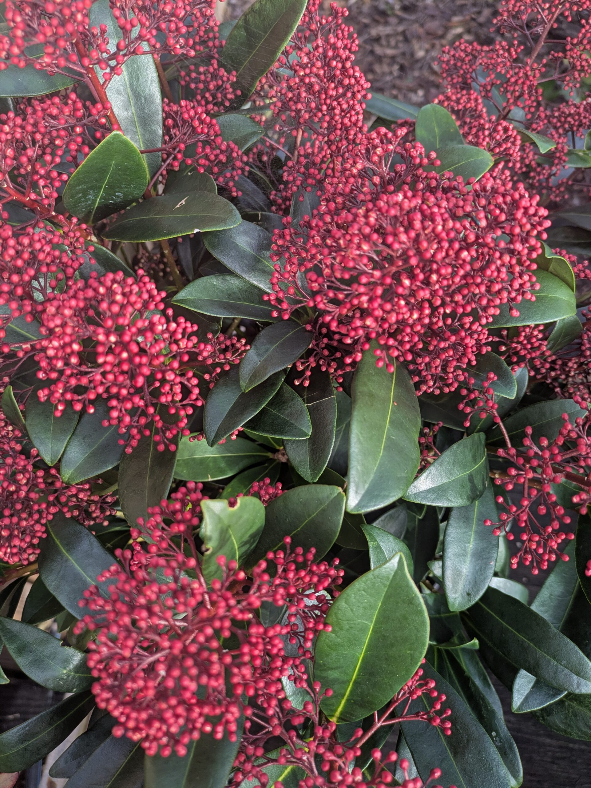 PXL_20260217_090107272