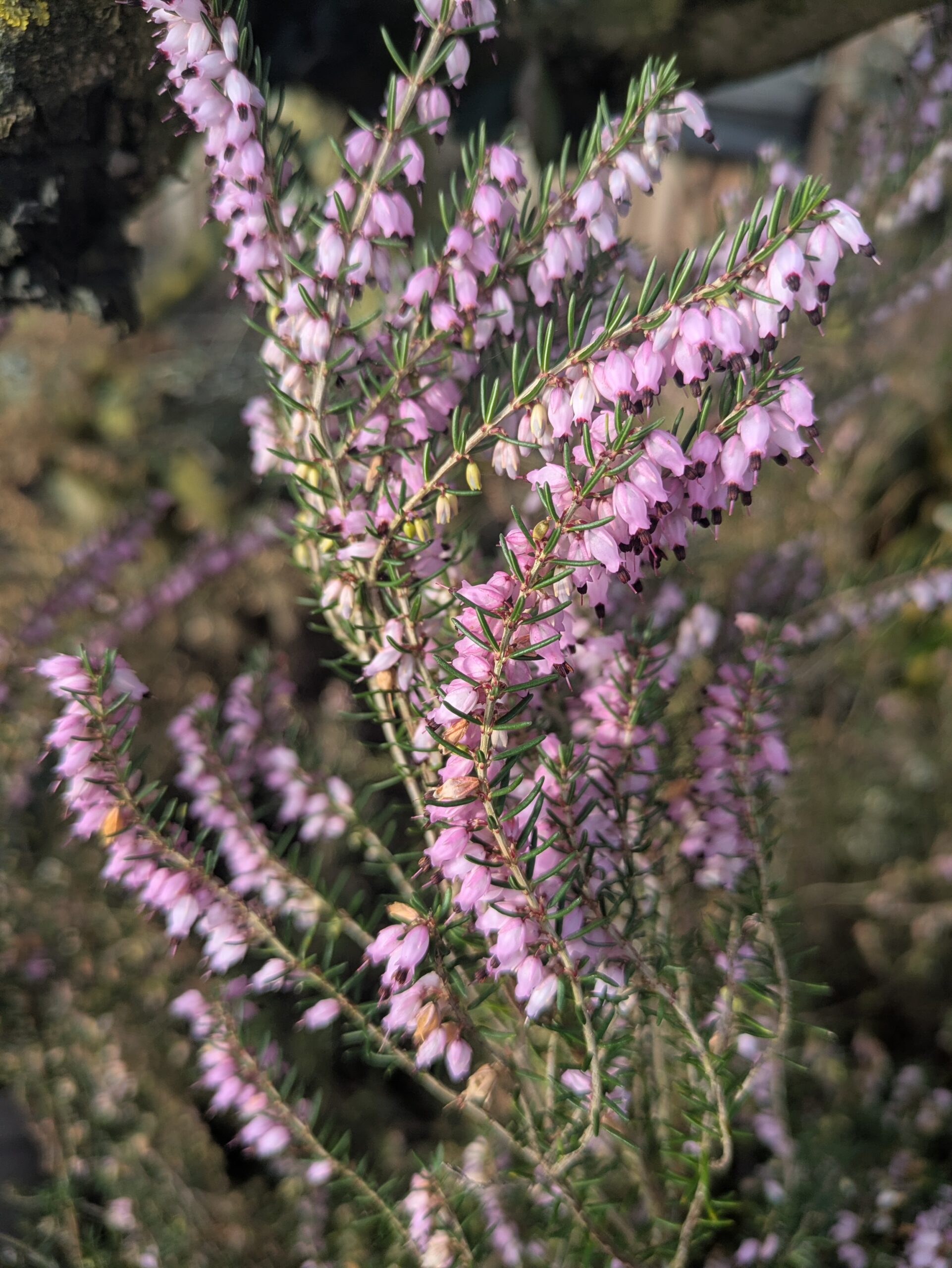 PXL_20260217_090140764