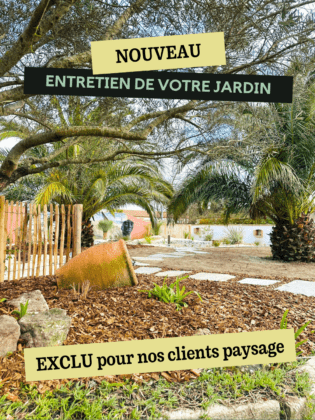 BOTAANY paysagiste réalise l'entretien de votre jardin