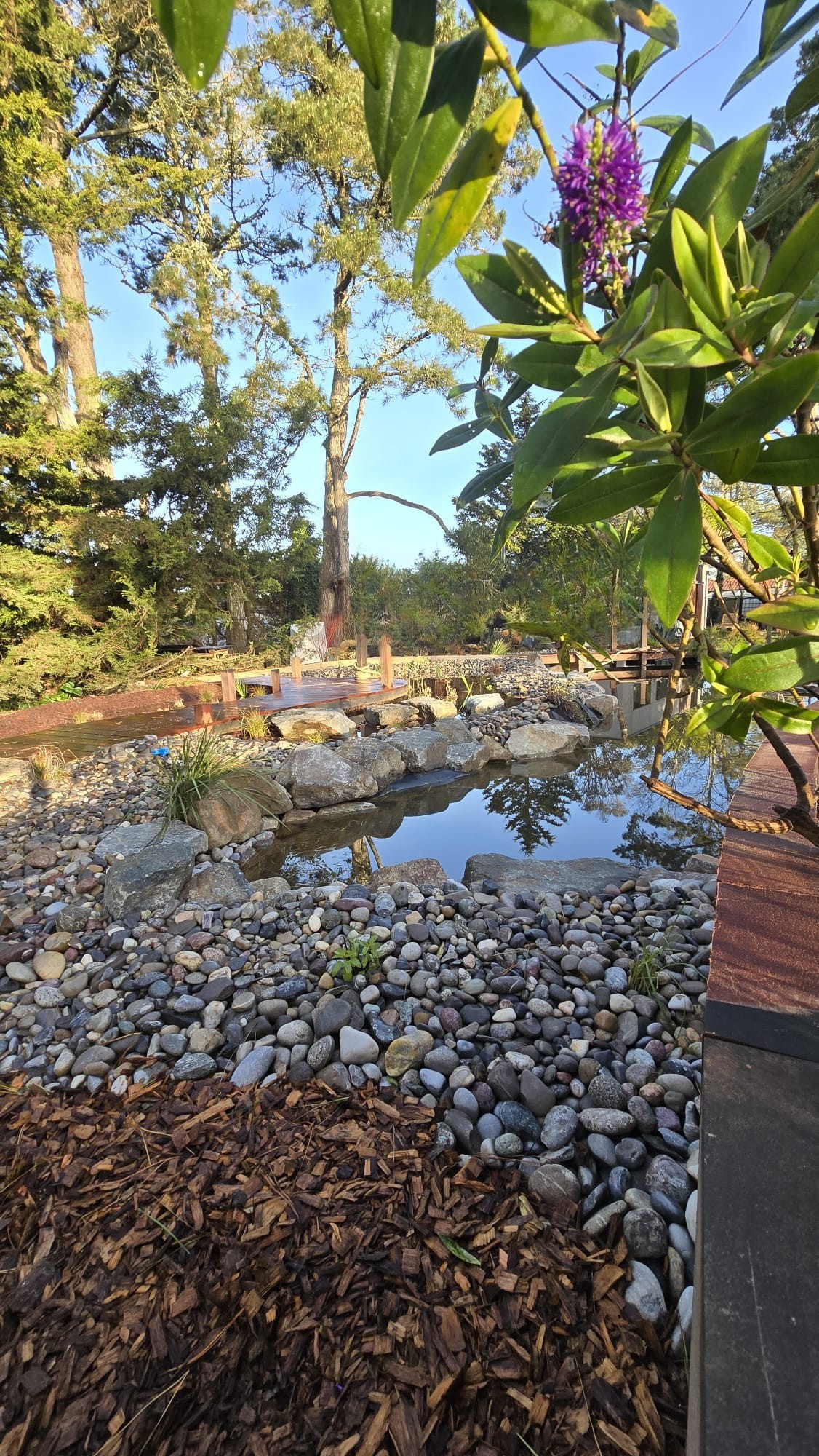 Création d'un bassin en Vendée