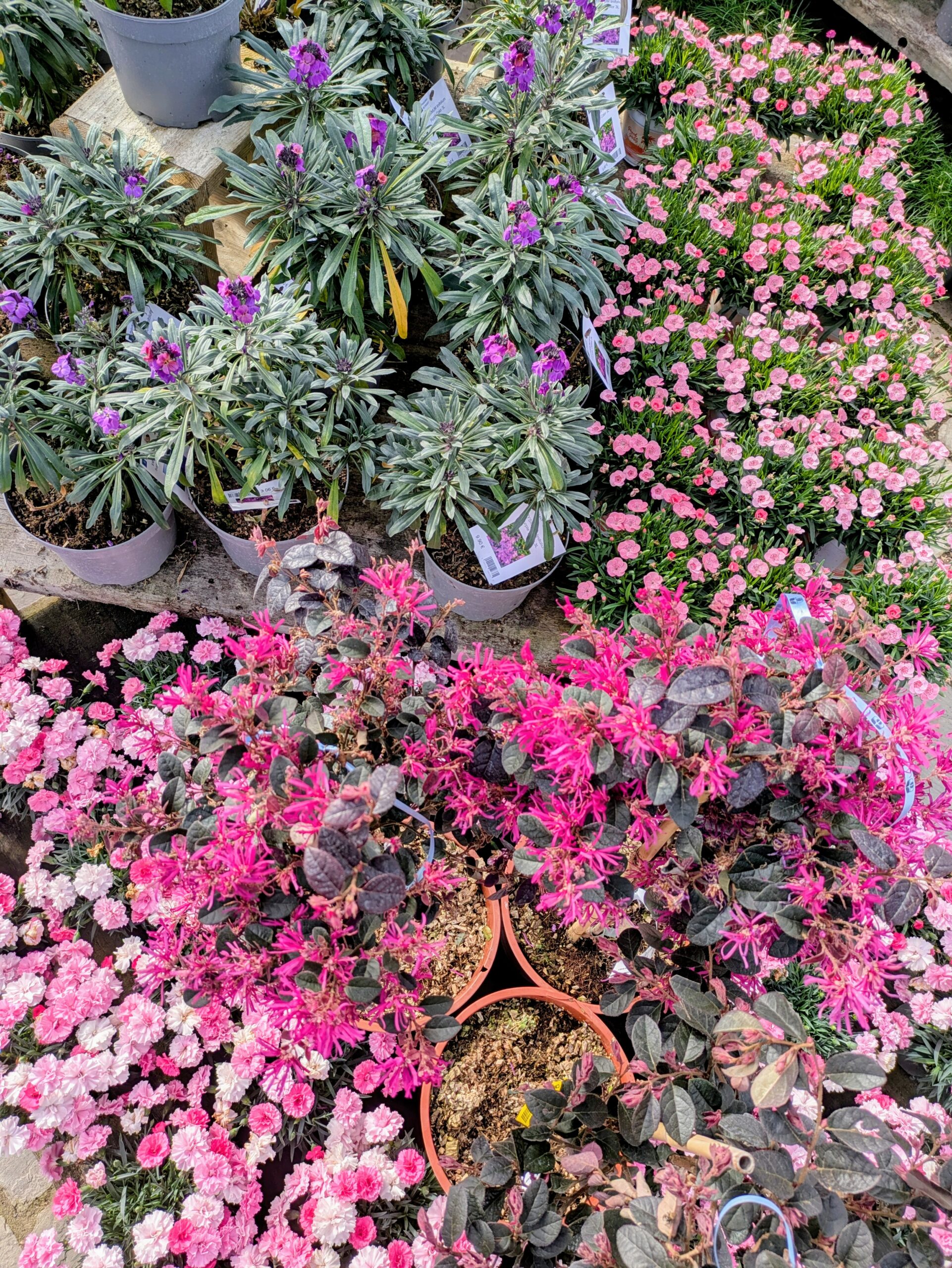 283898c6-f59d-45b0-a550-1ba992006cda~1