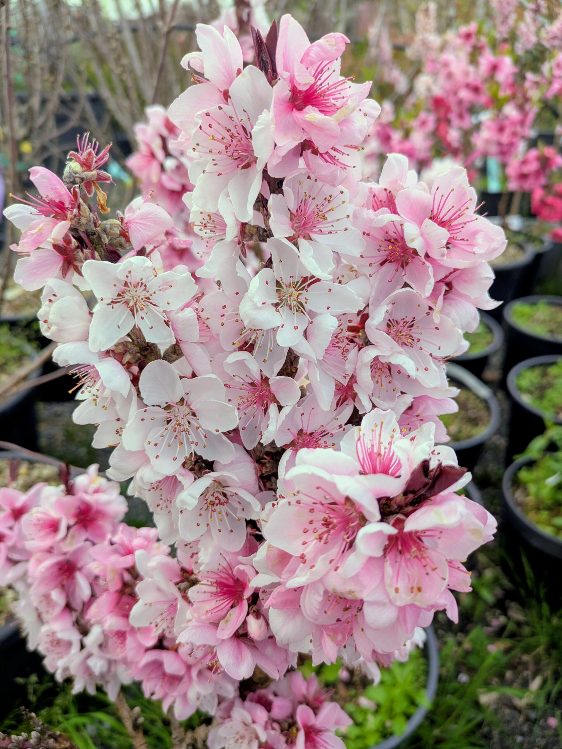 28e608a6-bac5-45f3-badc-ac26a1492732~1