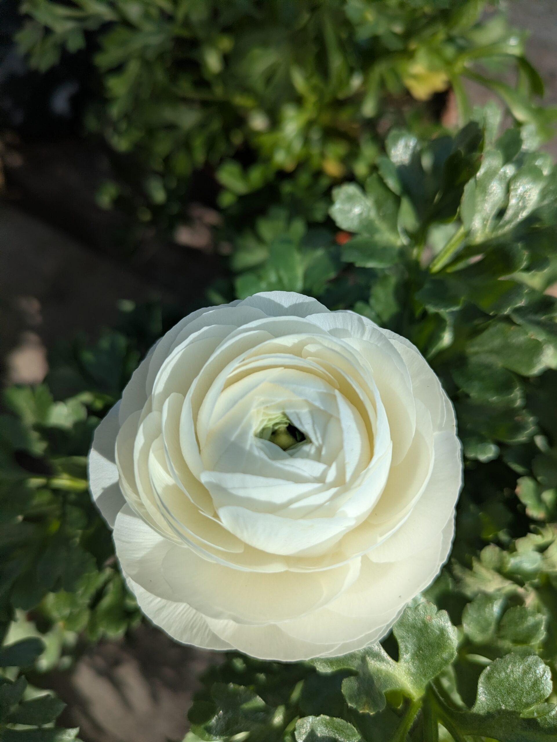 PXL_20260226_125830294