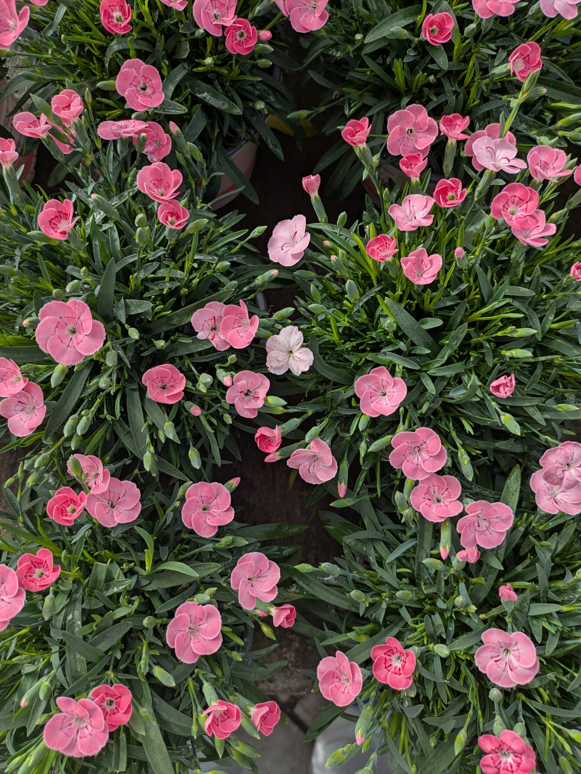 PXL_20260305_095428053