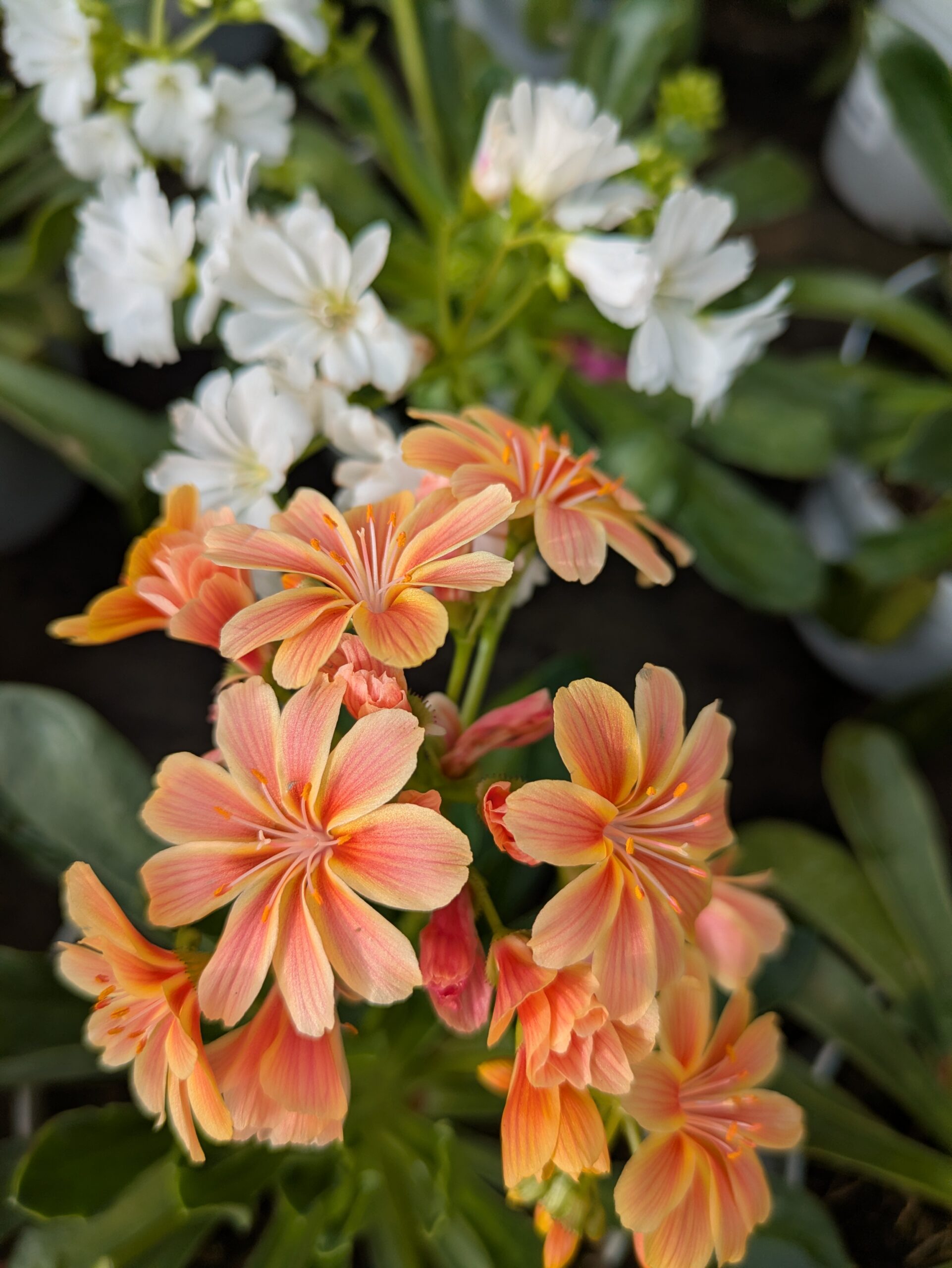 PXL_20260305_095628685