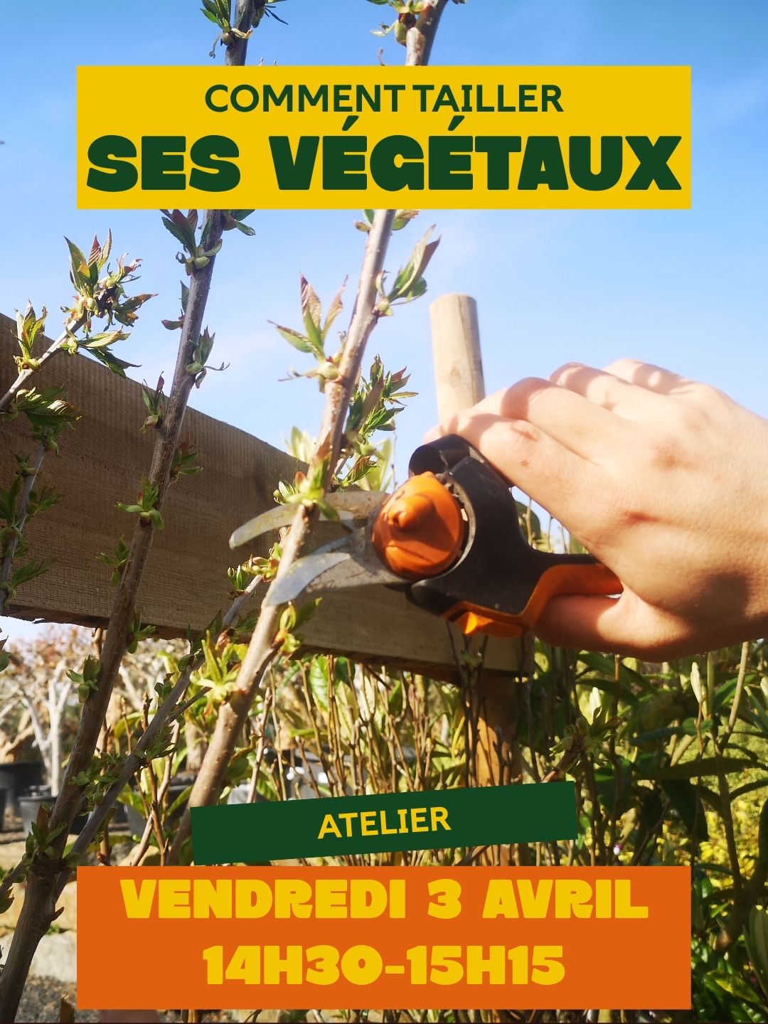 Atelier comment tailler les végétaux le vendredi 3 avril de 14h30 à 15h15 à La Fête des Jardins à BOTAANY