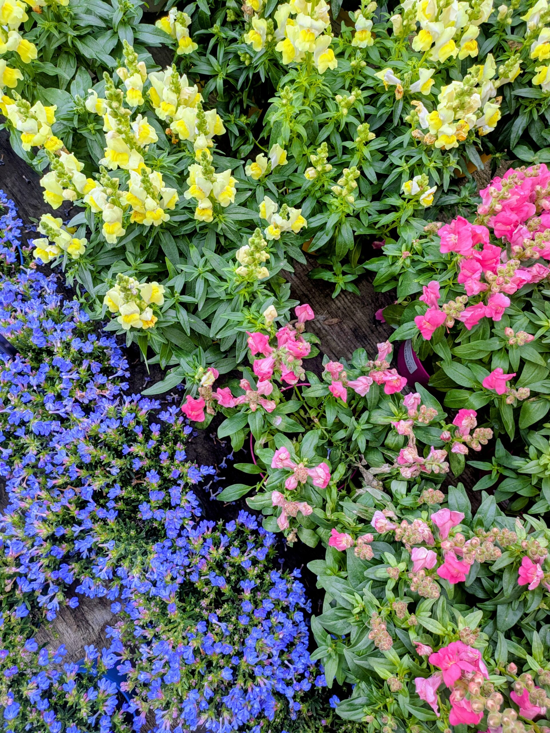 aac8c757-5103-4662-8c6a-7f7d65cf4892~1