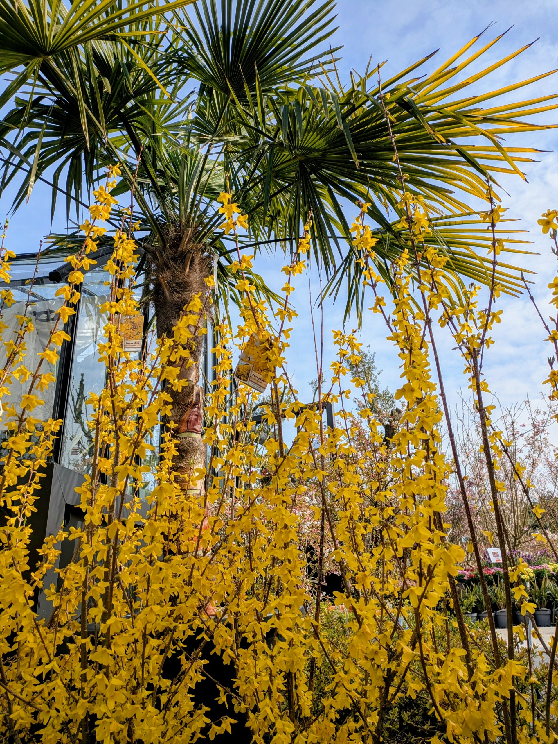 f7702e7b-4a47-4e59-9efb-63ffb1861a66~1