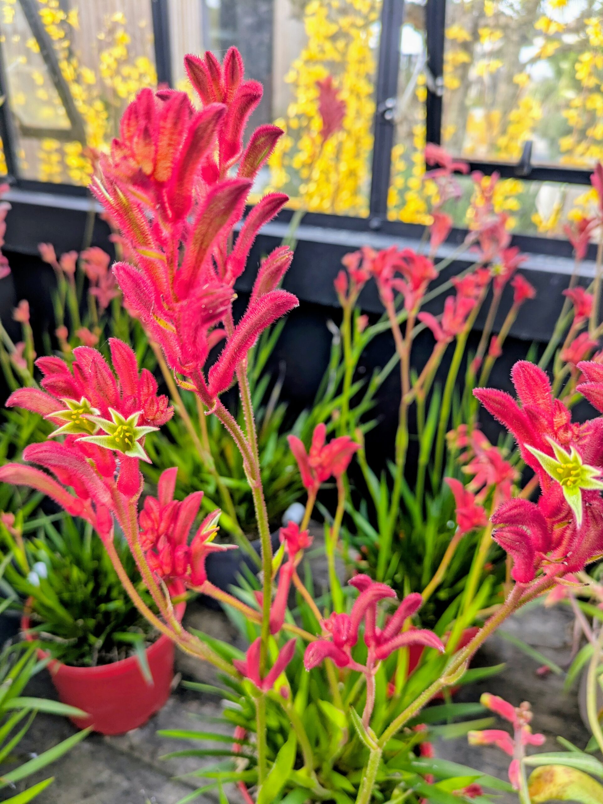 fd0207d5-0240-4440-b395-16c8ab4190ed~1