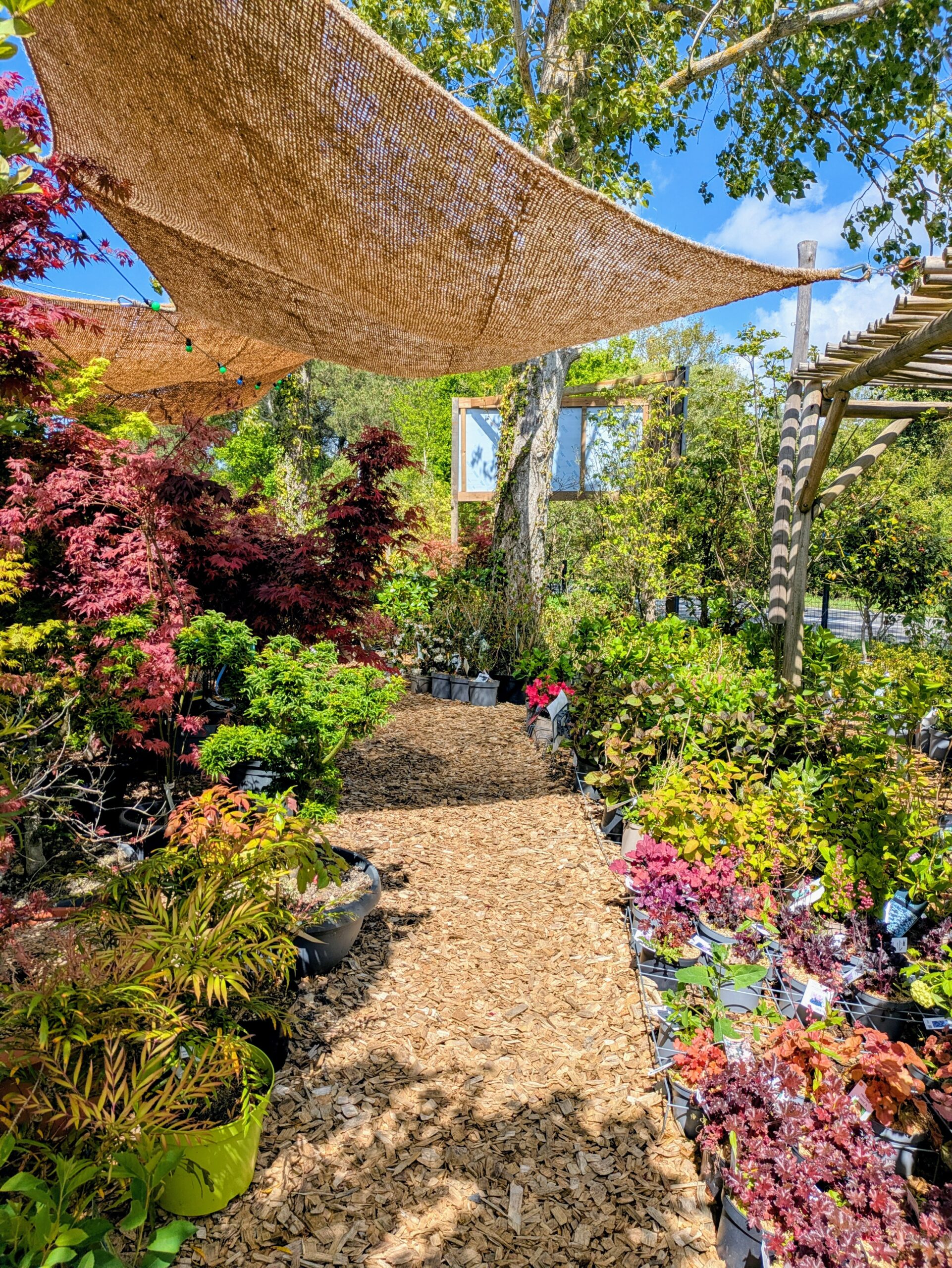 Botaany la pépinière 15 route de Challans 85220 L'Aiguillon sur vie