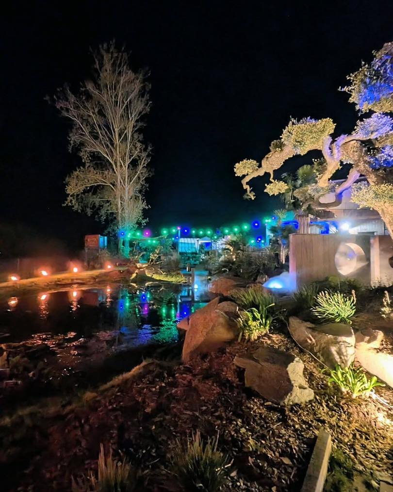 667869388_122177647568813647_9070796301186418499_n