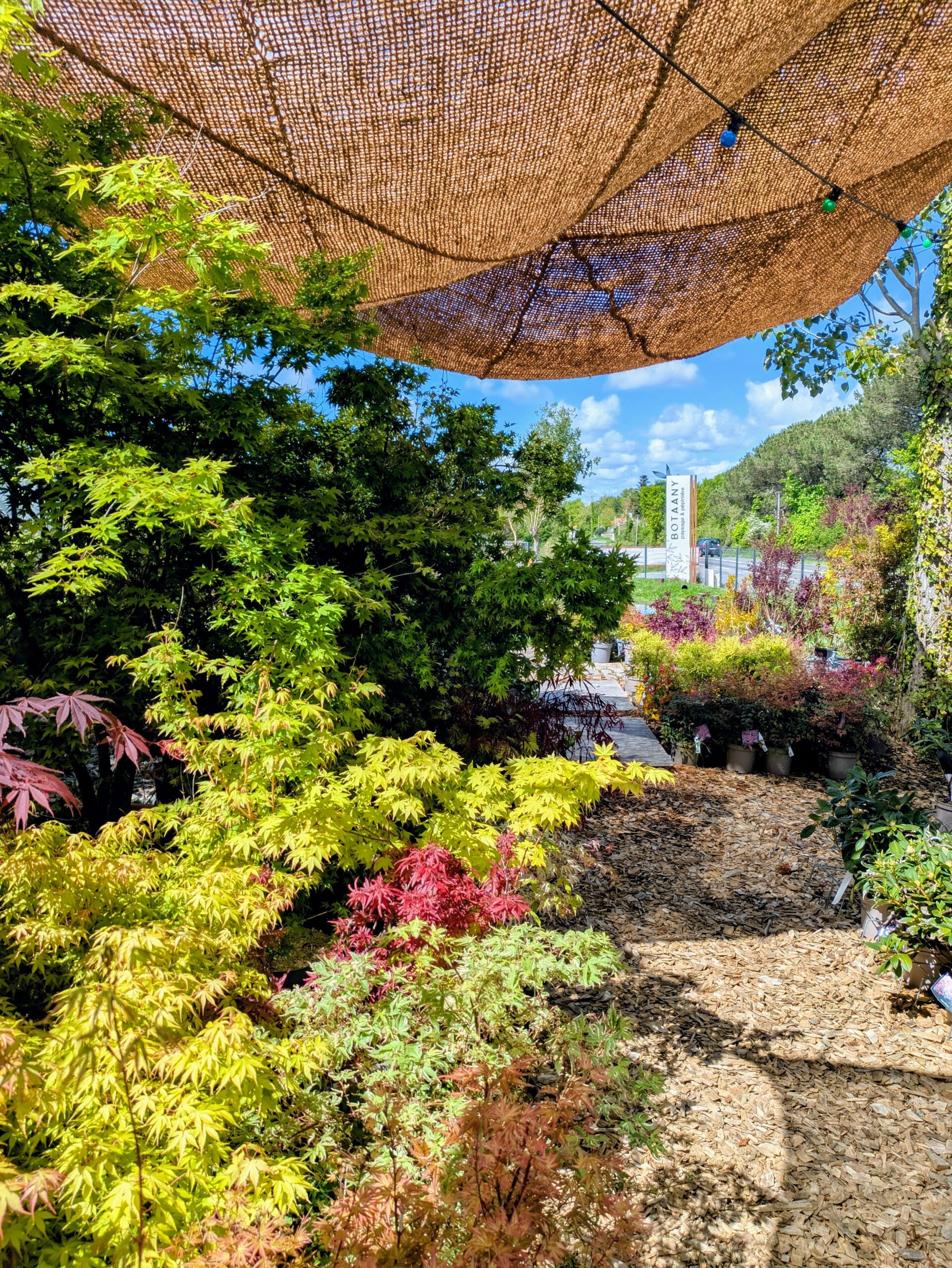 BOTAANY la pépinière L'Aiguillon sur vie
