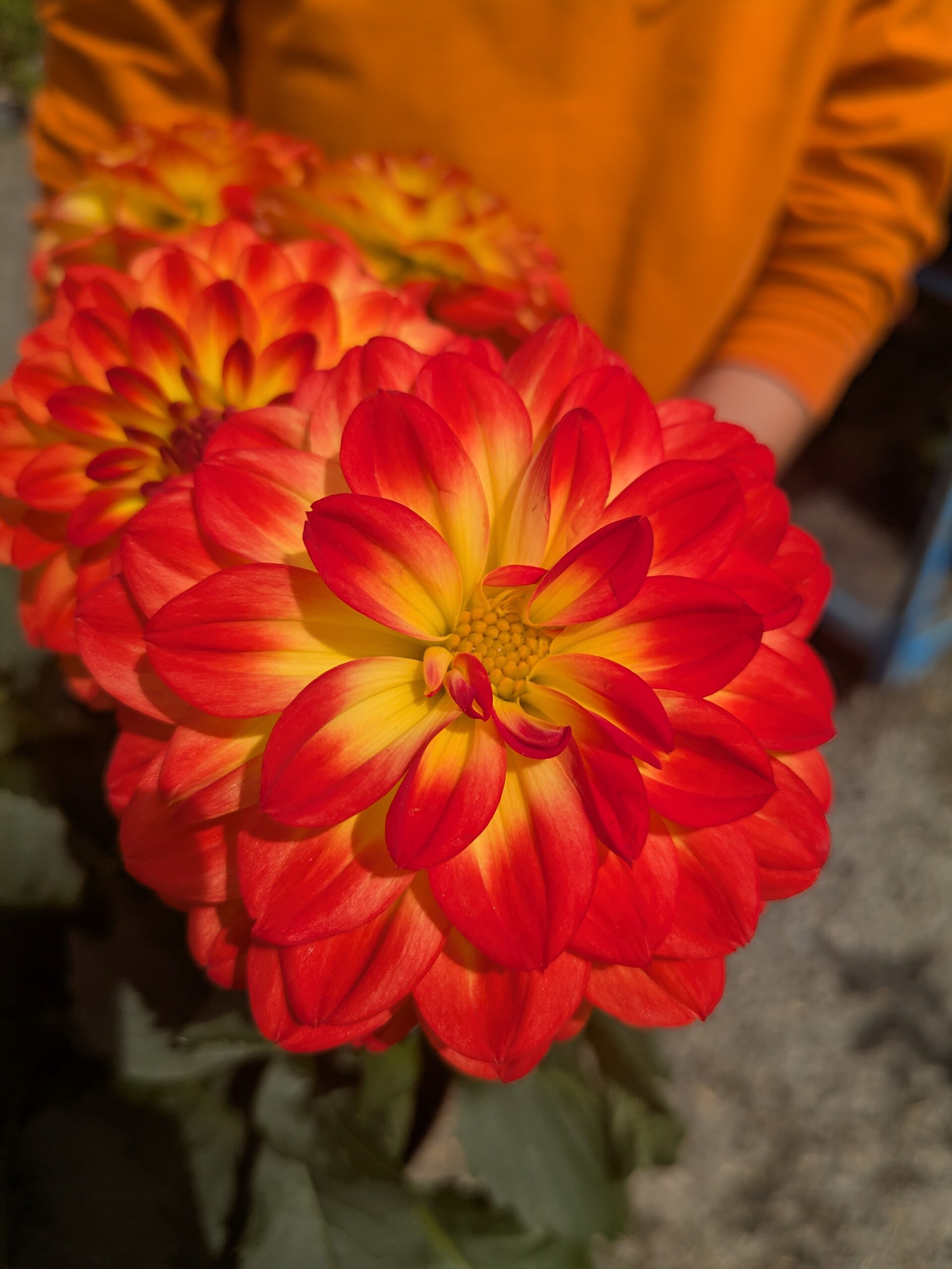 PXL_20260422_115832290