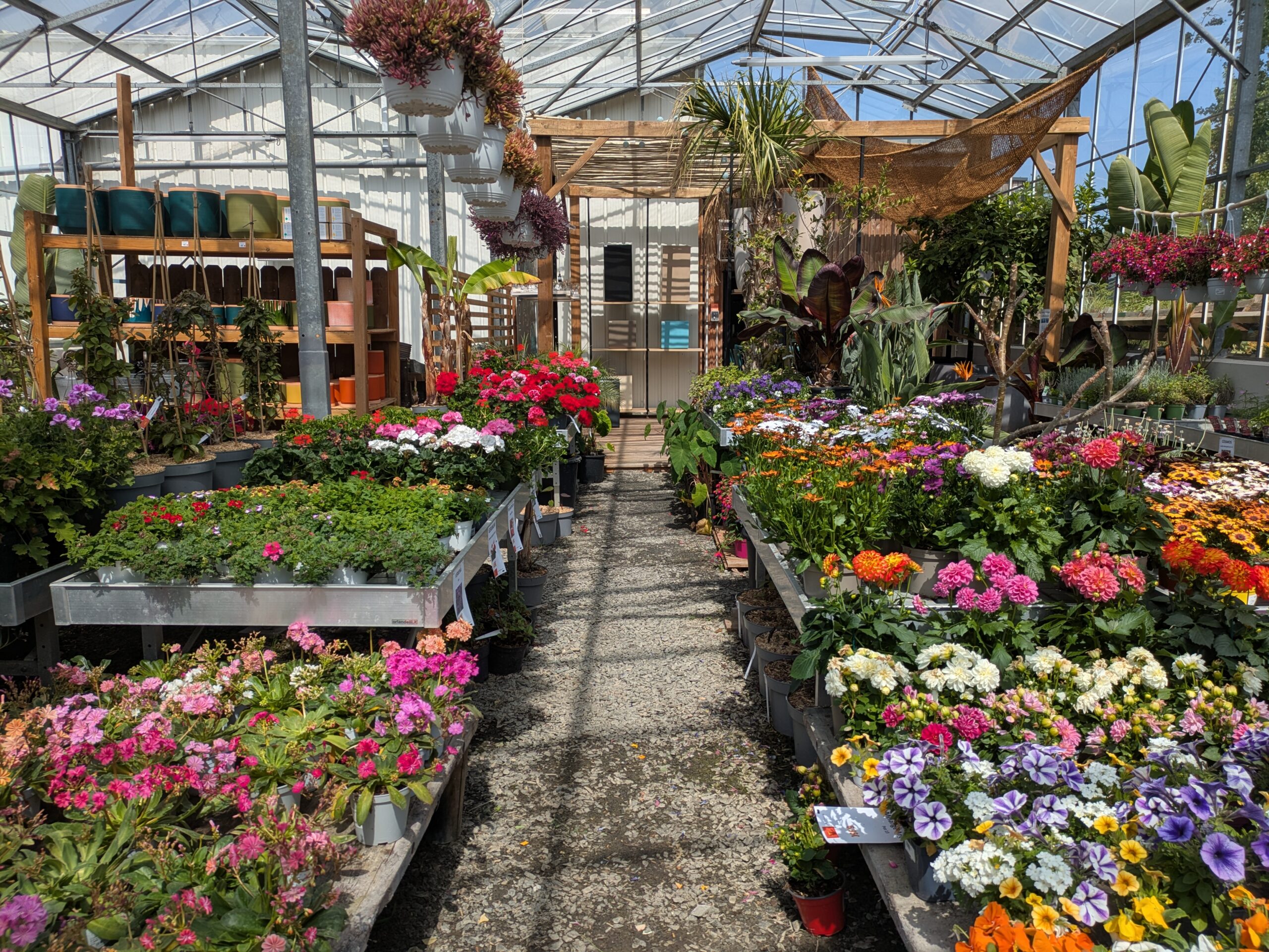 Marché aux fleurs dans notre grande serre à BOTAANY la pépinière à L'Aiguillon sur Vie