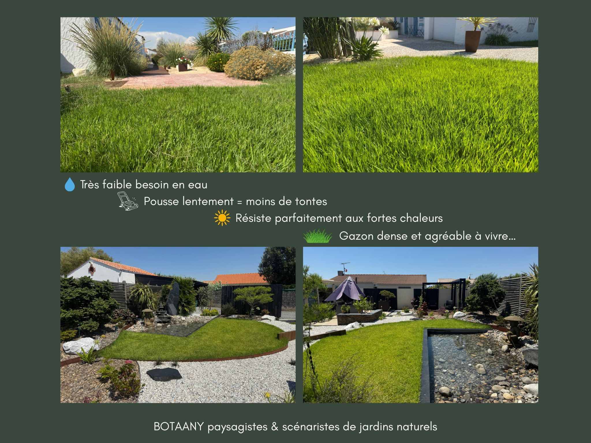 nos réalisations de gazon Zoysia 2 ans après!