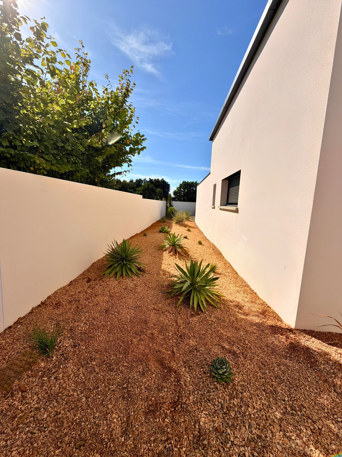 Création de massifs en sable autour de cette maison moderne près de Challans (85) par BOTAANY paysagistes et scénaristes de jardins naturels