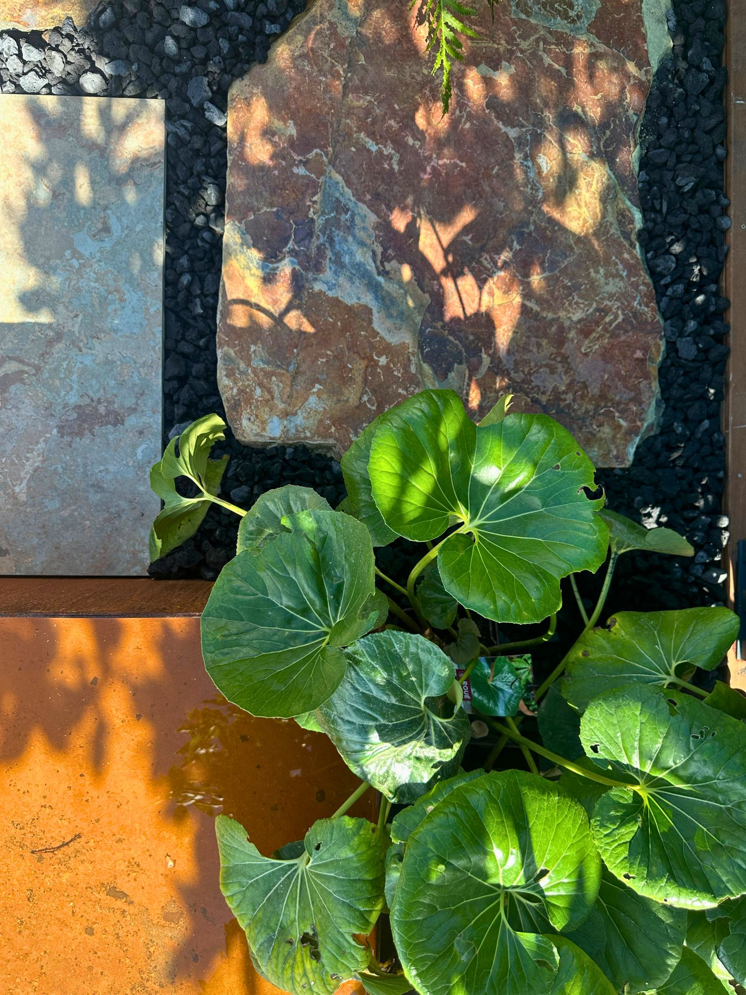 Design sans titre(44) - Copie