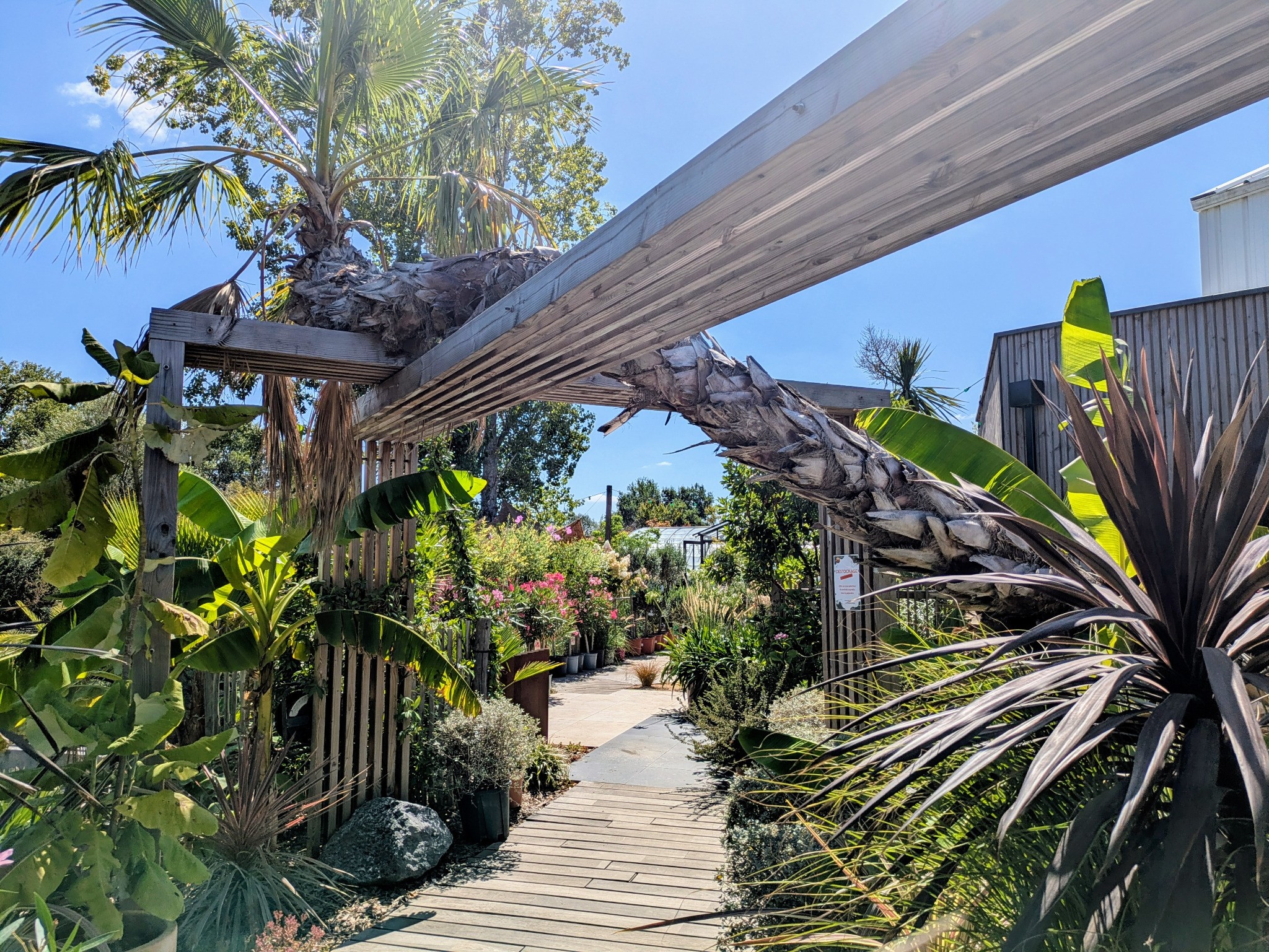pergola sur mesure BOTAANY