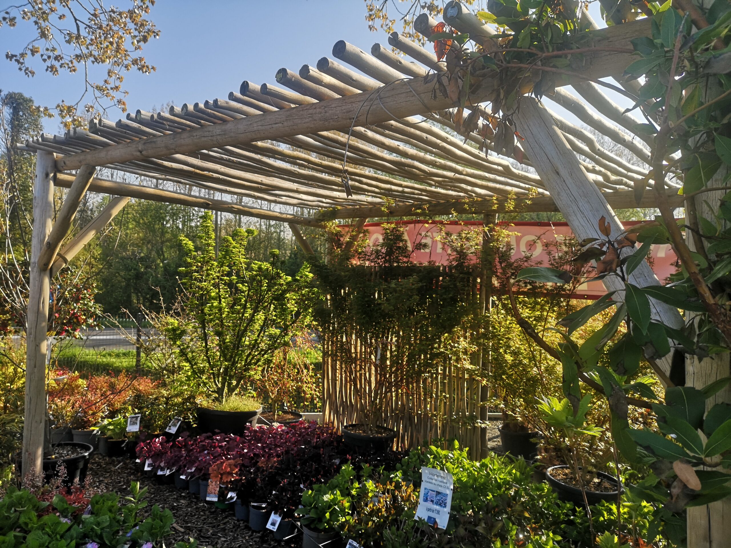 pergola bois eucalyptus sur mesure par BOTAANY