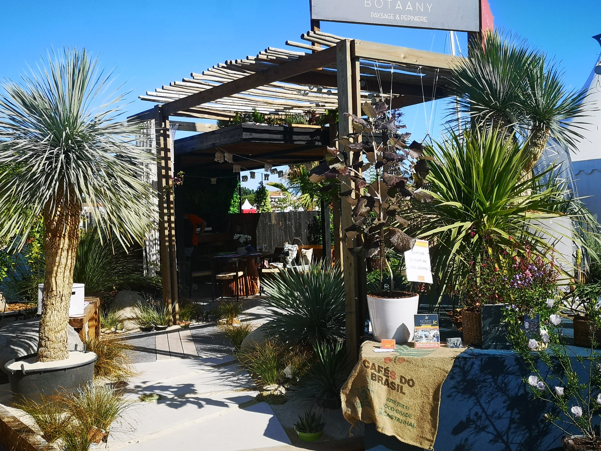 pergola bois eucalyptus sur mesure par BOTAANY